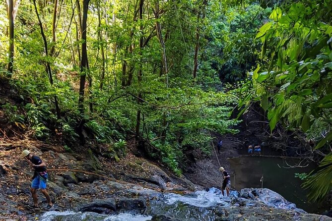 Rainforest Horseback+Waterfall Rappelling+1.3 Miles in Zip Line Combo+Lunch - Safe and Thrilling Ziplining