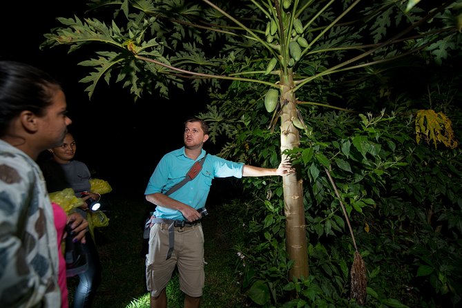 Rainforest Night Walking Tour (Private Property) - Traveler Feedback