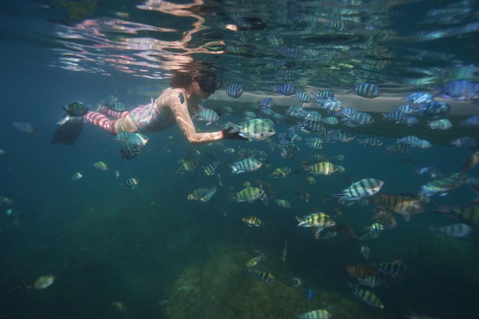 Red River Tour - Snorkeling Day Tour 2 Islets in Phu Quoc - Lunch Menu