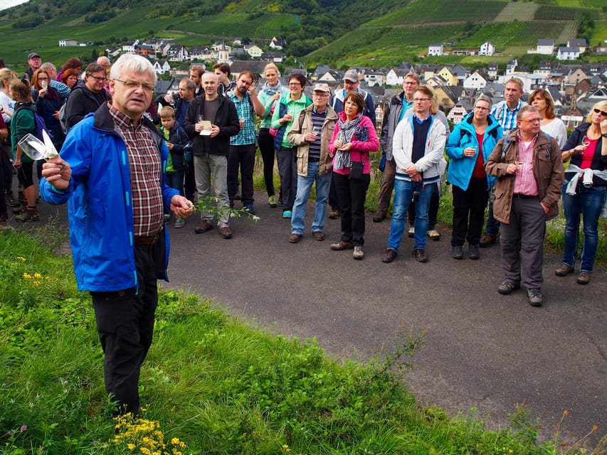 Reil, Mosel: Guided Organic Wine Tasting and Cellar Tour - Highlights of the Experience