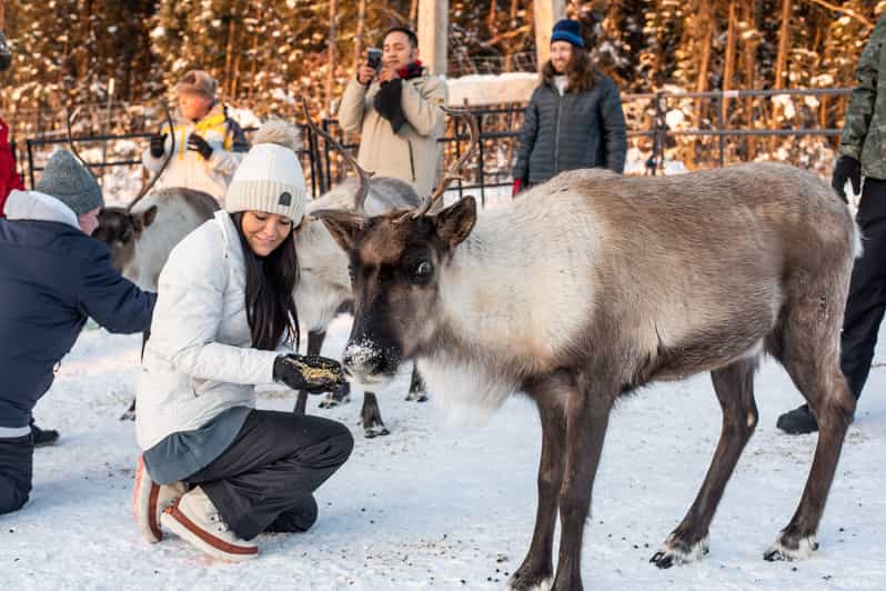 Reindeer and Snowmobile Day Trip to Borealis Basecamp - Transportation Details