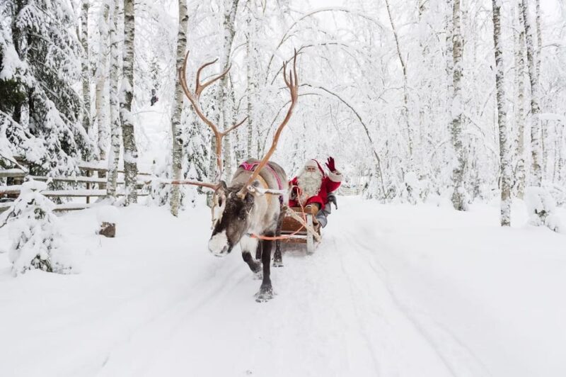 Reindeer Farm Visit With Sleigh Ride - Customer Ratings and Feedback