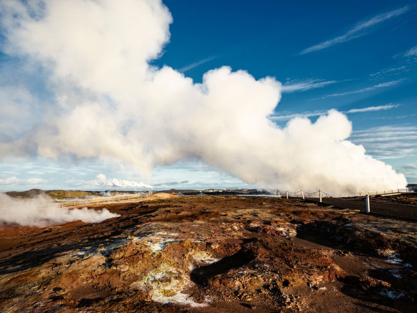 Reykjanes Peninsula : Private Guided Day Tour - Unique Features