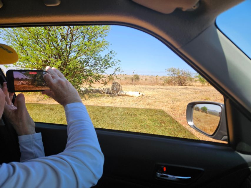 Rhino and Lion Park (Safari) and Cradle (Maropeng Museum) - Significance of the Cradle of Humankind