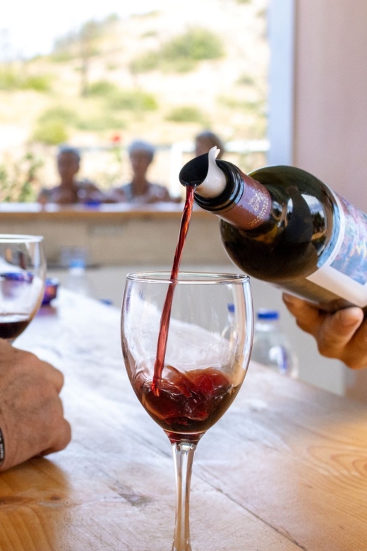 Rhodes: Cooking Class and Wine Tasting Experience - Culinary Highlights