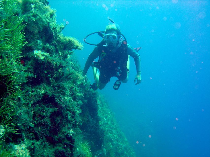 Rhodes: Diving Adventure for Beginners and Experts - Diving Equipment and Safety