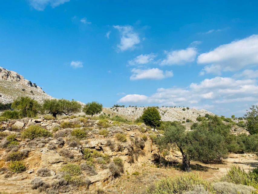 Rhodes: Guided Hike to 7 Springs From Archangelos - Inclusions