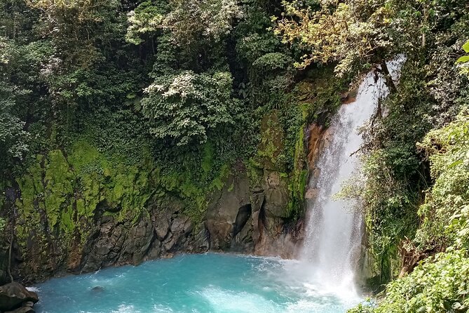 Rio Celeste and Sloth Sanctuary Combo Tour - Reviews and Feedback