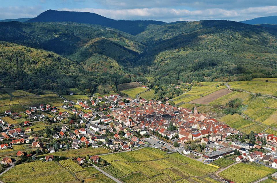 Riquewihr: Private Guided Walking Tour - Tour Experience