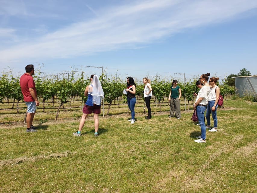 Romagna: Wine Tour With the Winemaker - Highlights of the Tour