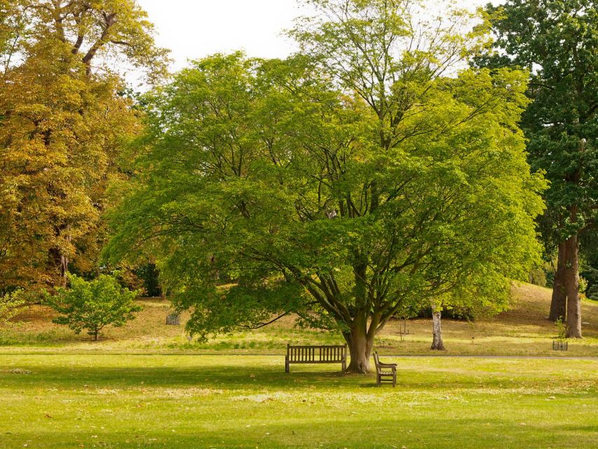 Romantic Walks in Roslin: A Scottish Love Story - Scenic Highlights