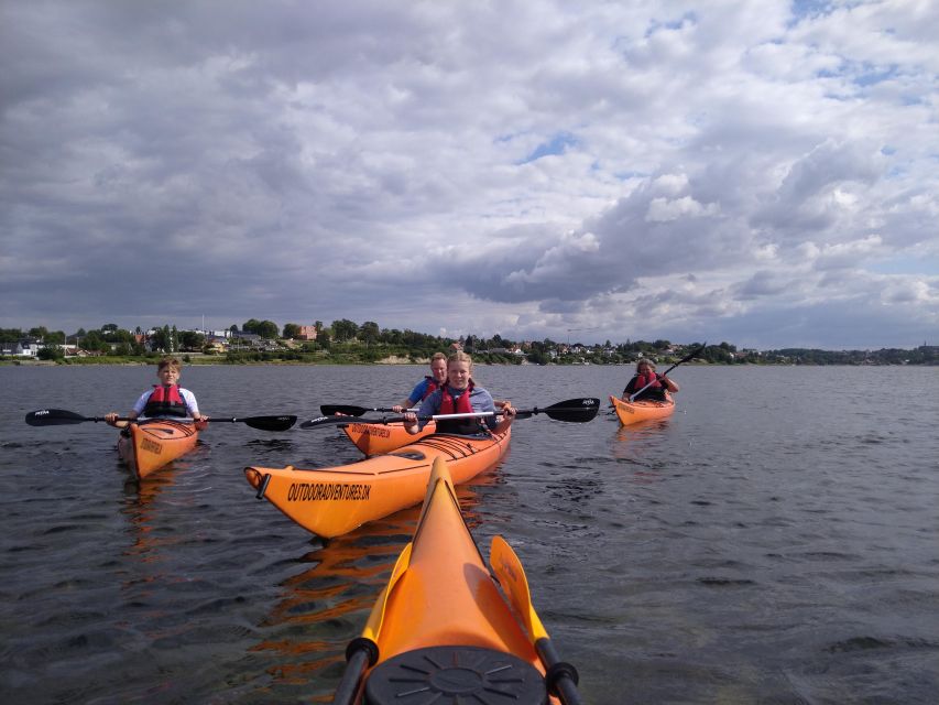 Roskilde: Guided Kayaking on Roskilde Fjord: Private Tour - Inclusions for Participants