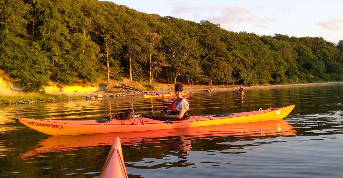 Roskilde: Guided Kayaking on Roskilde Fjord: Sunday Afternoon - Whats Included