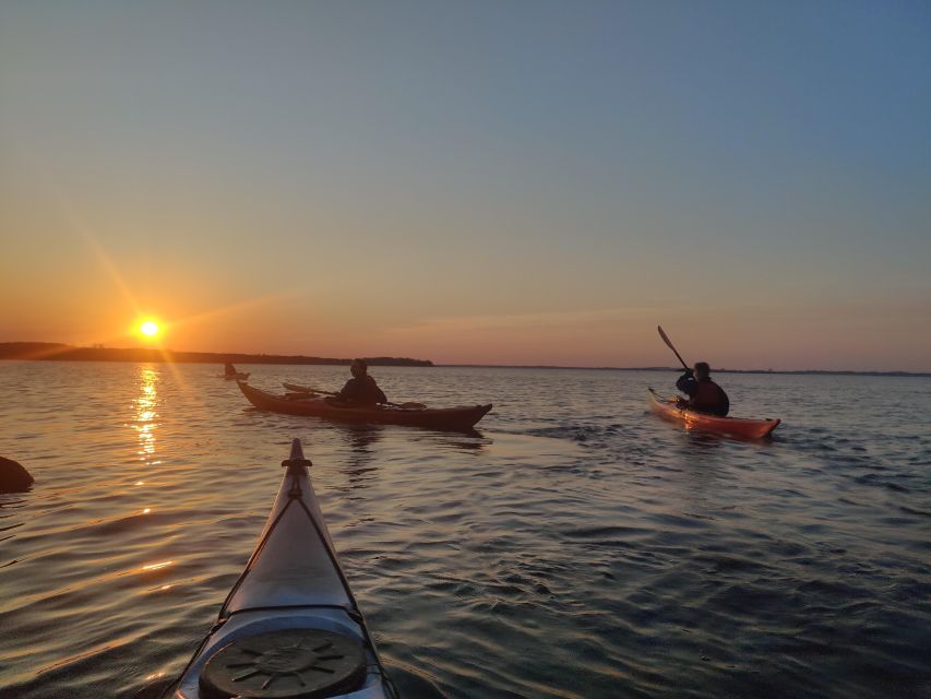 Roskilde: Guided Kayaking on Roskilde Fjord: Sunset Tour - Booking Process