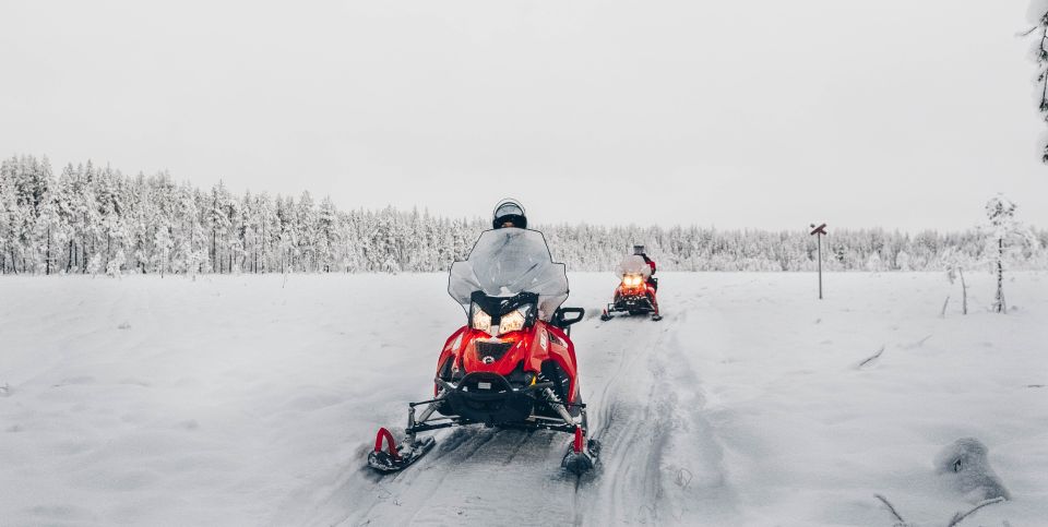 Rovaniemi: 4h Snowmobile Safari - Age and Licensing Requirements