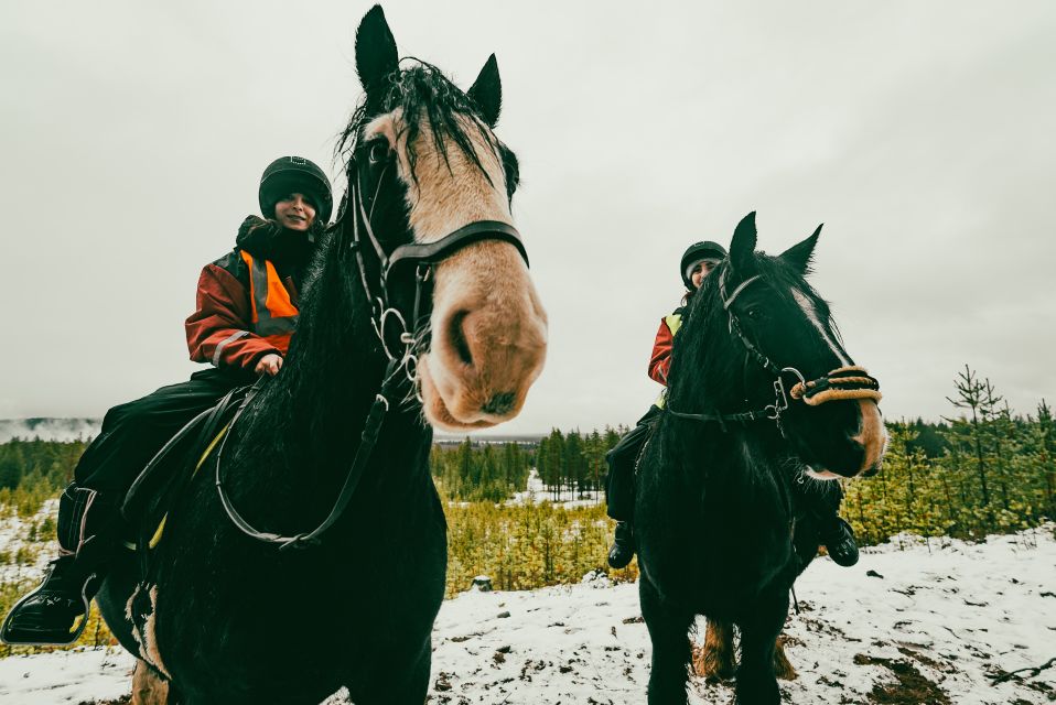 Rovaniemi: Arctic Horse Riding Experience - Inclusions and Logistics