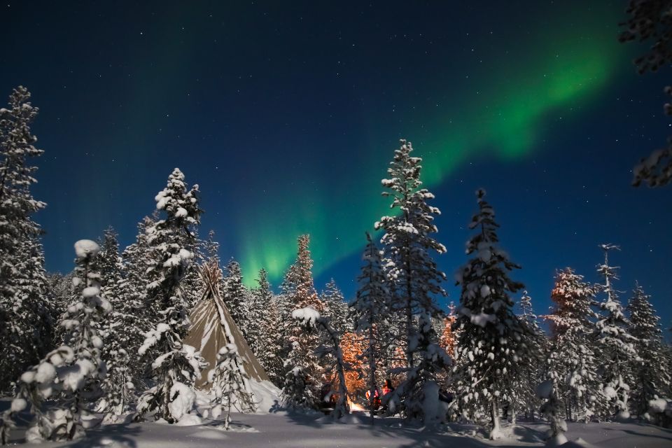 Rovaniemi: Aurora Borealis and Picnic - Highlights of the Adventure