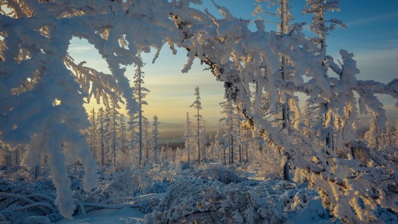 Rovaniemi: Auttiköngäs Winter Wilderness Hike & BBQ - Important Information and Guidelines