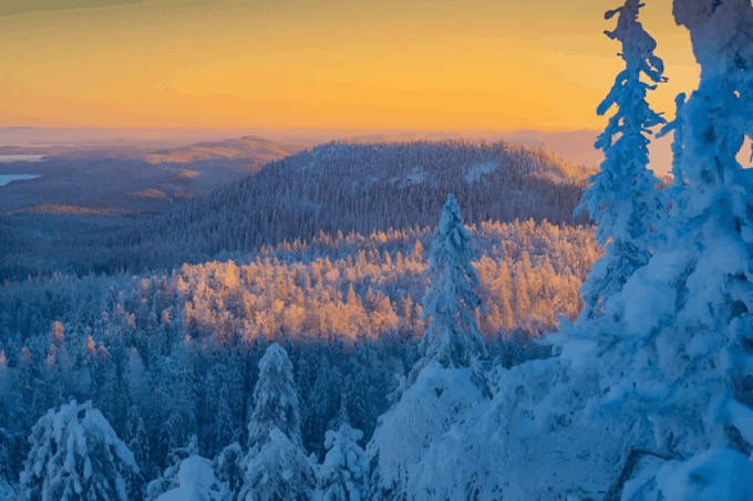 Rovaniemi: Auttiköngäs Winter Wilderness Hike & BBQ - Frequently Asked Questions