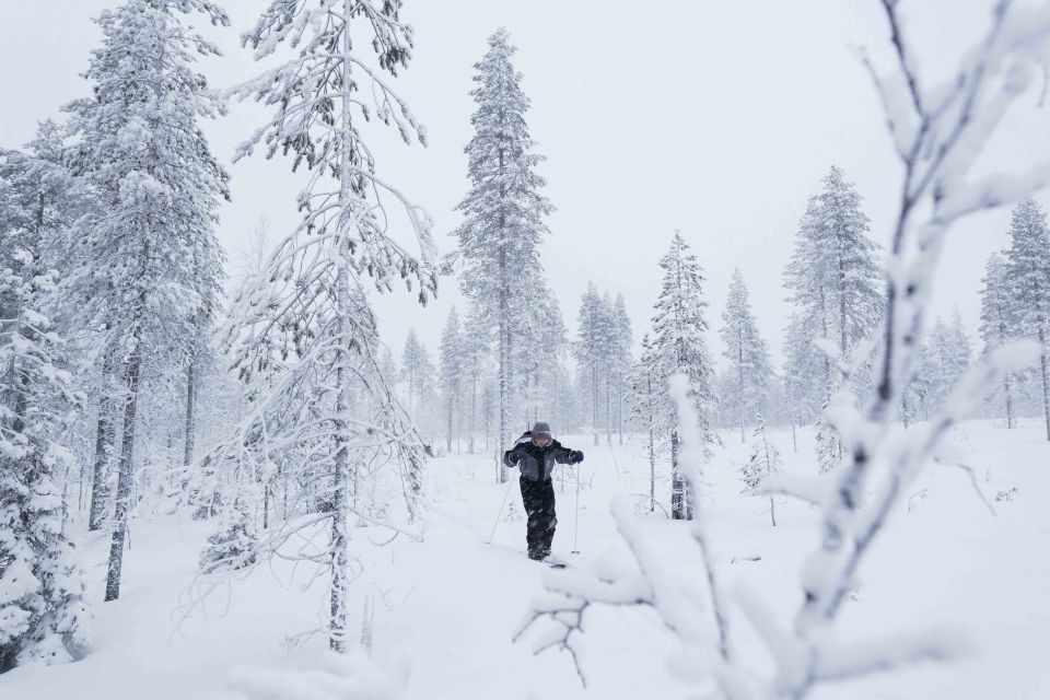 Rovaniemi: Backcountry Skiing Adventure - Tour Details