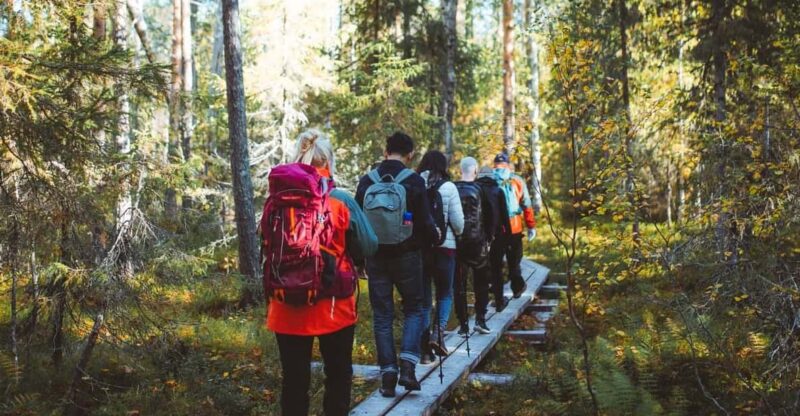 Rovaniemi: Combo Tour: Boating & Trekking - Experience Highlights