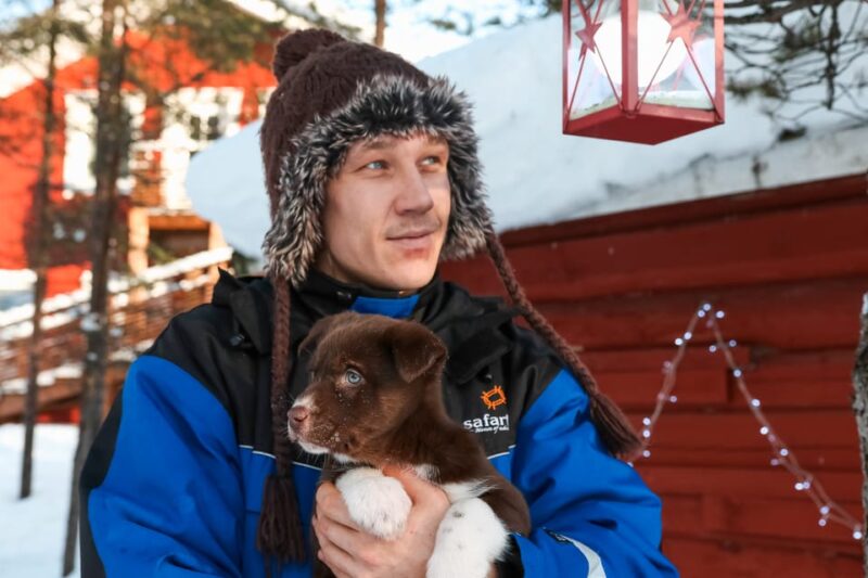 Rovaniemi: Daytime Husky Safari - Important Information