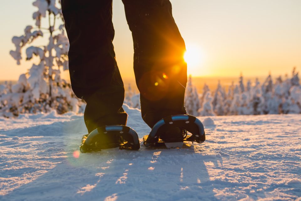 Rovaniemi: Guided Lappish Wilderness Snowshoeing Adventure - Inclusions