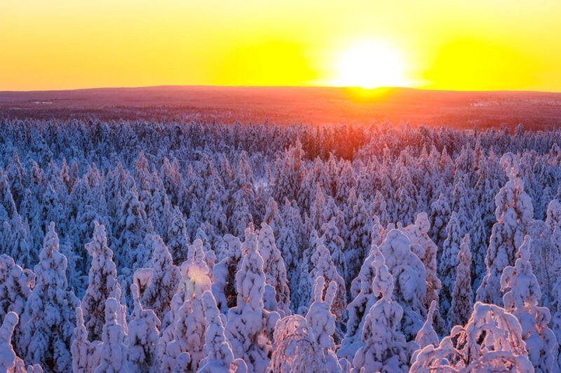 Rovaniemi: Guided Wilderness Snowmobile Ride - Inclusion and Requirements