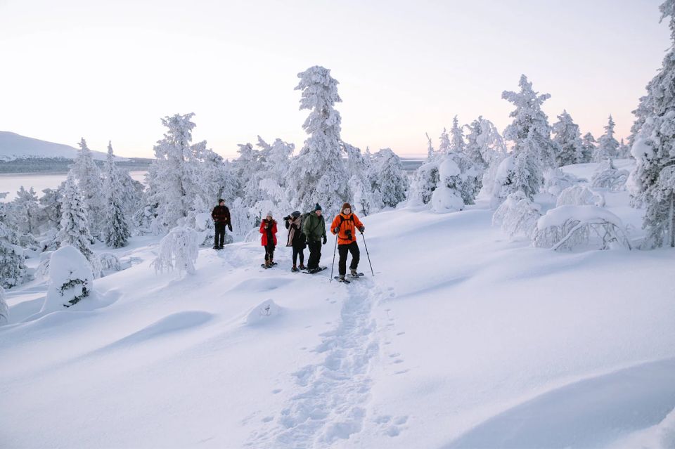 Rovaniemi: Hiking and Snowshoeing Adventure in Lapland - Highlights of the Tour