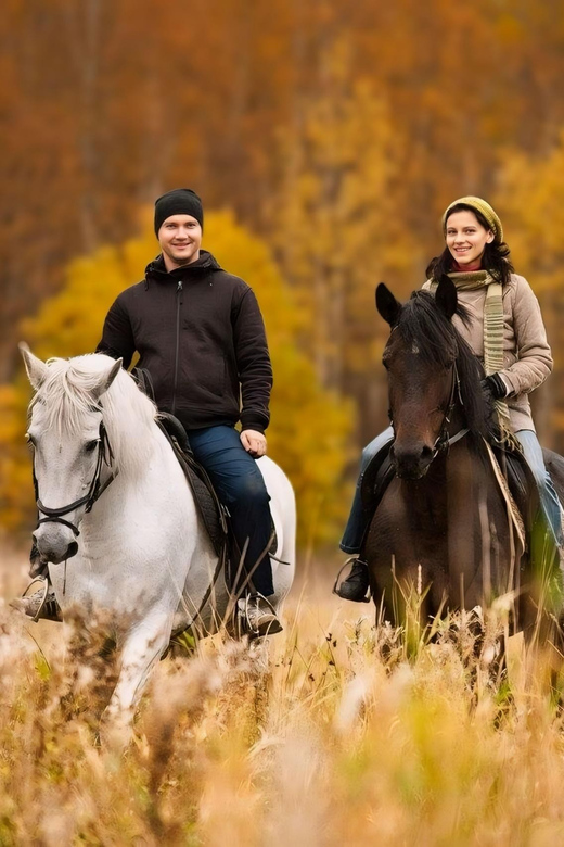 Rovaniemi: Horse Riding in Arctic Wilderness - Highlights of the Adventure