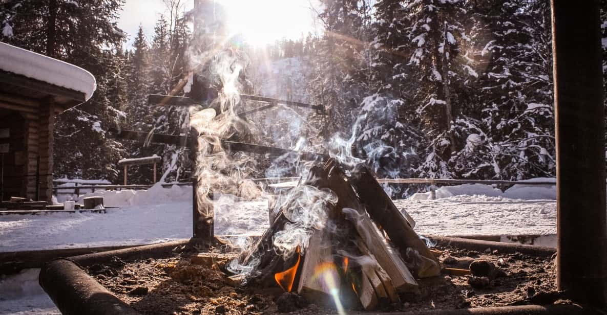 Rovaniemi: Korouoma Frozen Waterfalls With Sauna and Lunch - Nature and Wildlife Experience