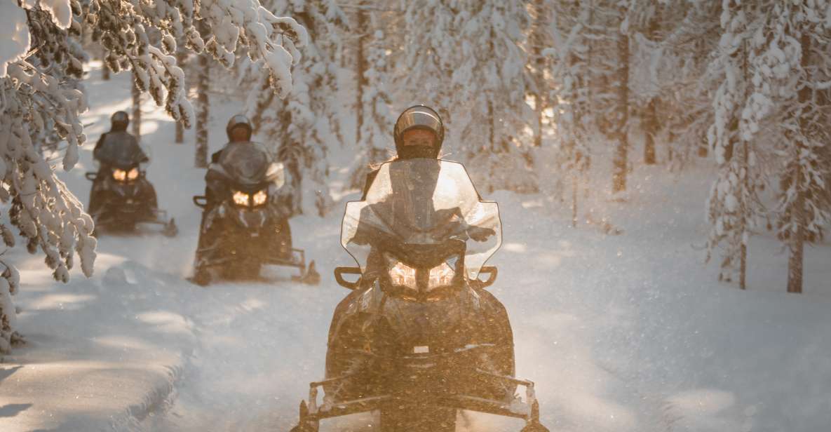 Rovaniemi: Lake Lehtojärvi Electric Snowmobile Safari Tour - Booking Process