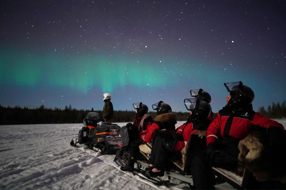 Rovaniemi: Northern Lights Sleigh Ride - Important Details to Note