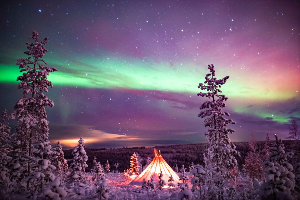 Rovaniemi: Northern Lights Snowmobile Sledge Ride - Tour Details