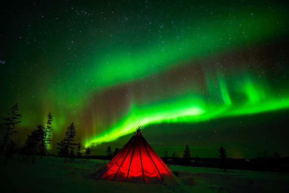 Rovaniemi: Northern Lights Snowmobile Tour - Safety and Requirements