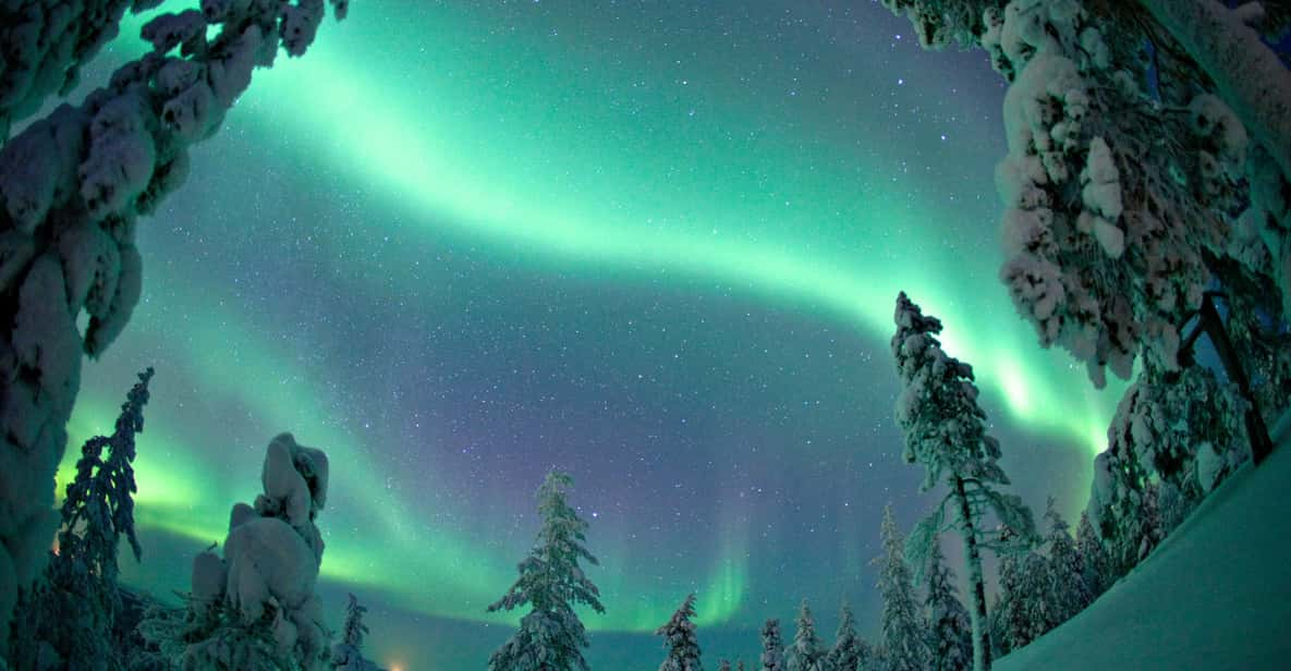 Rovaniemi: Northern Lights Tour With Electric Snowmobiles - Itinerary and Activities