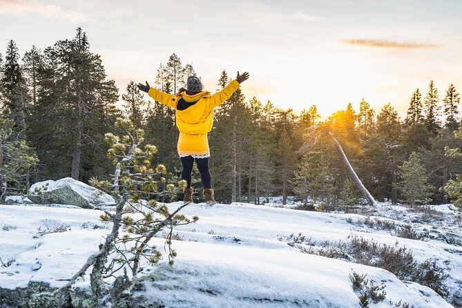 Rovaniemi Photography Tour - Meeting and Pickup