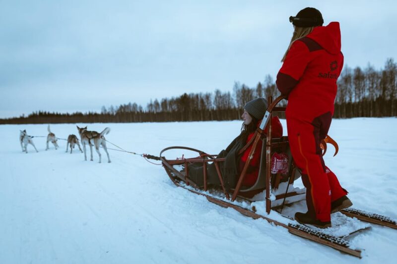 Rovaniemi: Pure Christmas Joy Half-Day Tour - Unique Experiences Offered