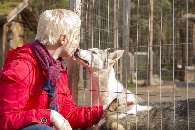 Rovaniemi: Quad Bike Safari, Reindeer & Husky Farm Visit - Inclusions and Requirements
