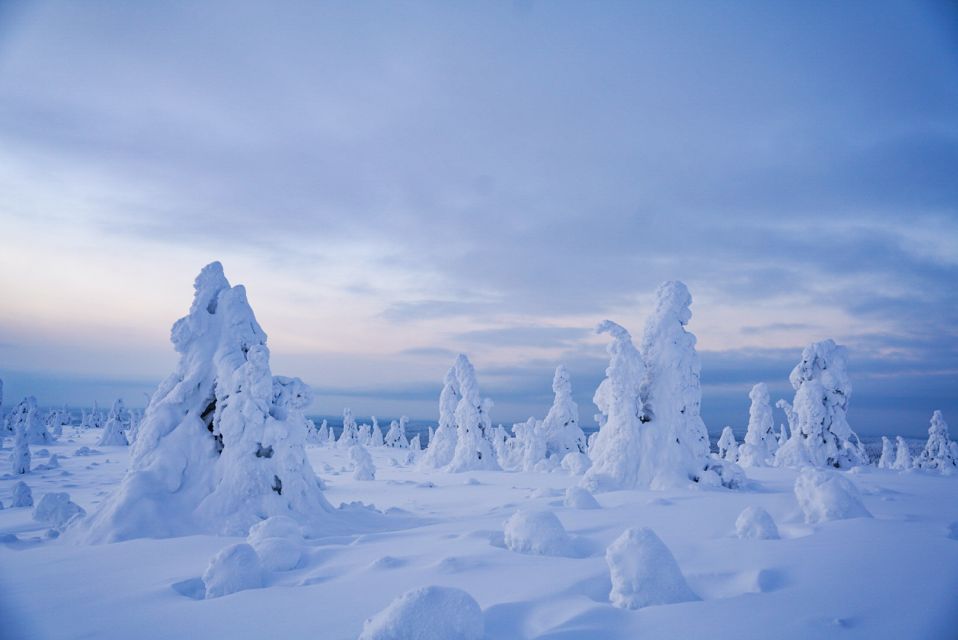 Rovaniemi: Riisitunturi National Park Day Trip With Lunch - Adventure in the Wilderness