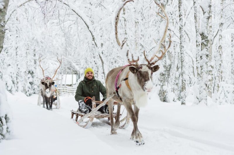Rovaniemi: Saami Reindeer Farm Visit & Sleigh Ride - Cultural Insights