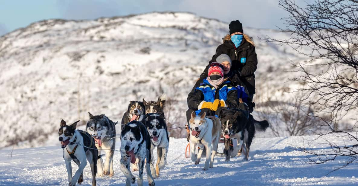 Rovaniemi: Santa Claus, Husky & Reindeer Sled Ride - Santa Claus Village