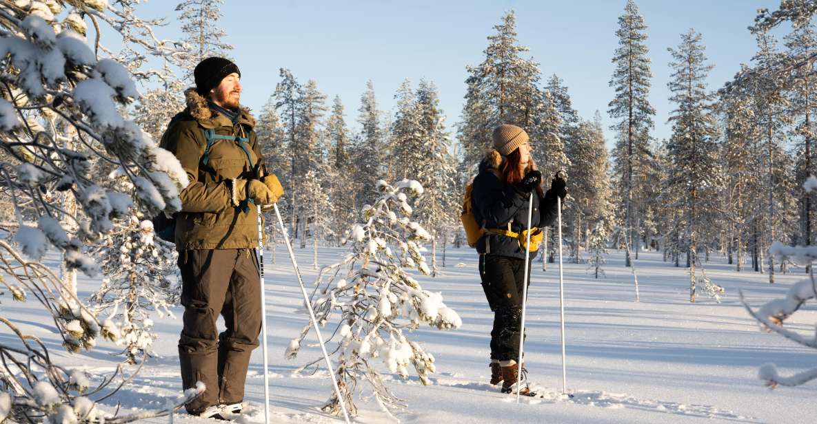 Rovaniemi: Small-group Ski Trek to the Wilderness - Itinerary and Activities