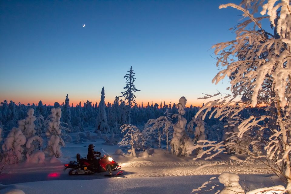 Rovaniemi: Snowmobile Safari & Campfire Evening Escape - Whats Included in the Tour