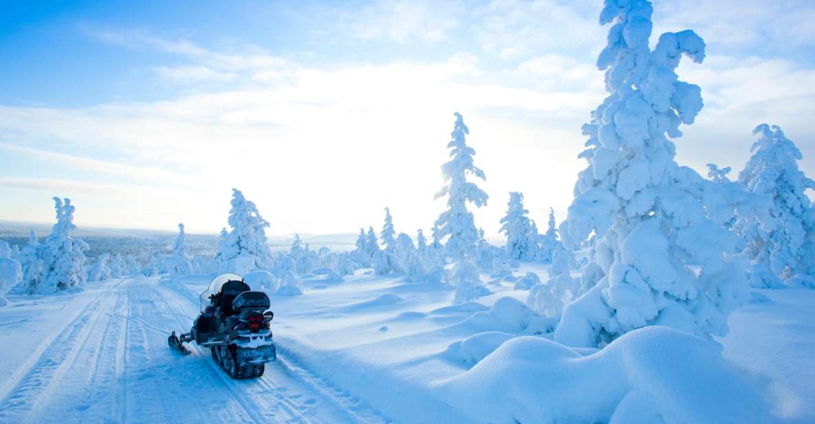 Rovaniemi: Snowmobile Safari in the Arctic Circle - Safety and Requirements