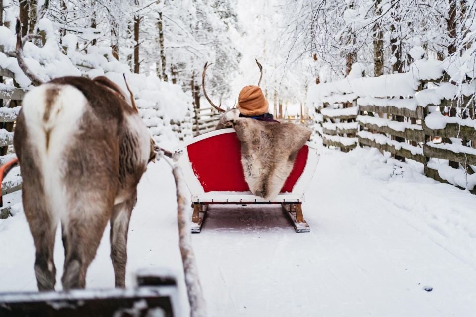 Rovaniemi: Snowmobile Safari, Reindeer & Husky Sleigh Ride - Essential Information