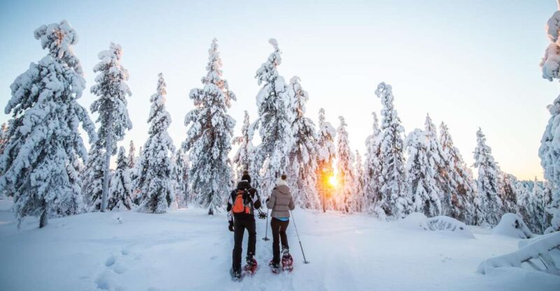 Rovaniemi: Snowshoe Wilderness Adventure - Detailed Tour Itinerary