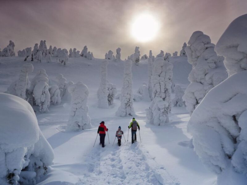 Rovaniemi: Wilderness Snowshoes Expedition Tour & Barbeque - Inclusivity of the Experience