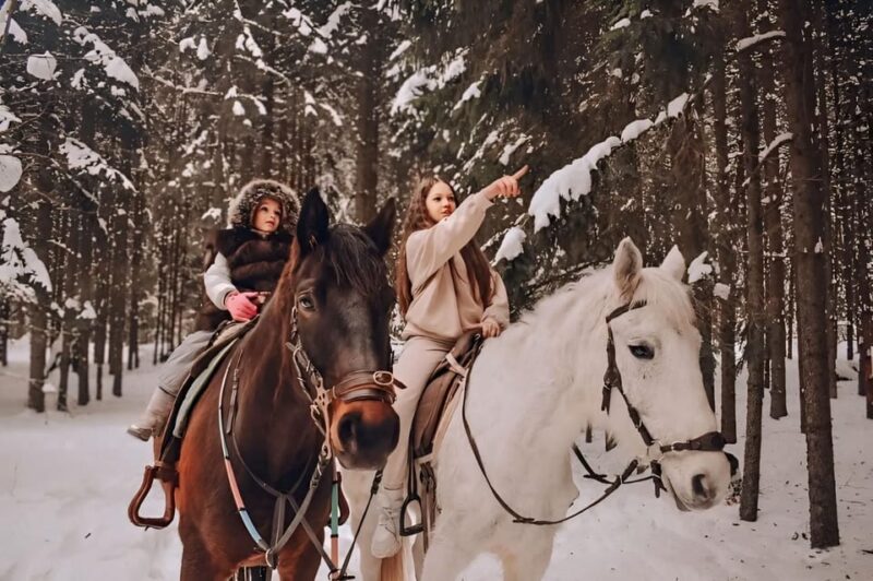 Rovaniemi: Winter Horse Riding in Arctic Nature - Historical Significance