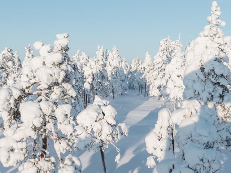 Rovaniemi: Winter Wonderland Vikaköngäs Hike & Barbeque - Hiking Trails and Natural Wonders